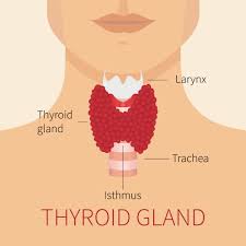 thyroid hypothyroidism